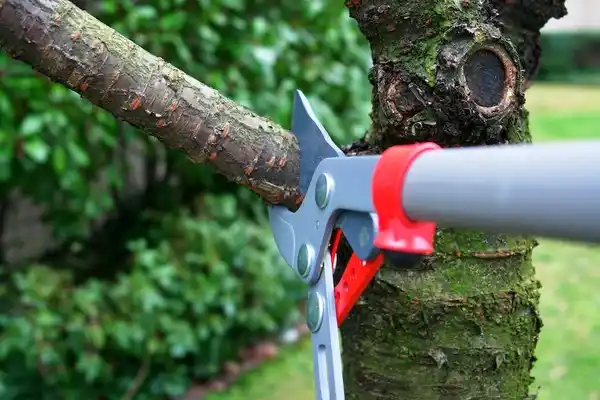 tree services Hustisford